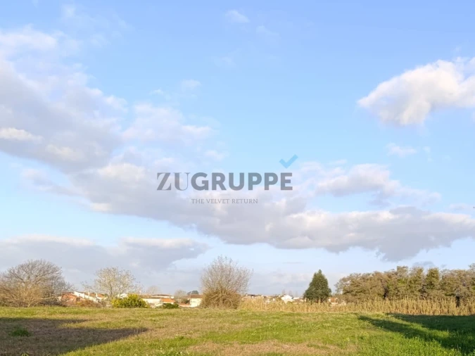 Terreno para Venda em Ílhavo (São Salvador) Foto 7