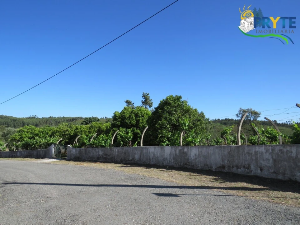 Quinta T5 para Venda em Sertã Foto 17