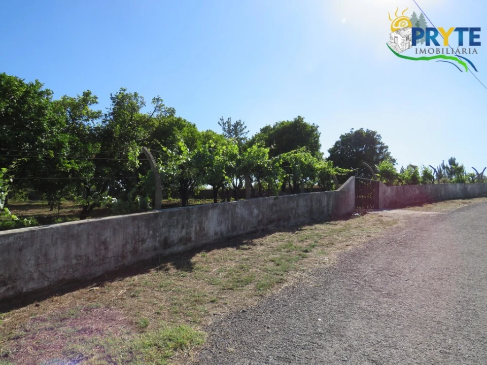 Quinta T5 para Venda em Sertã Foto 20