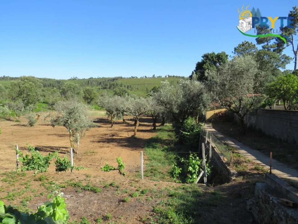 Quinta T5 para Venda em Sertã Foto 22