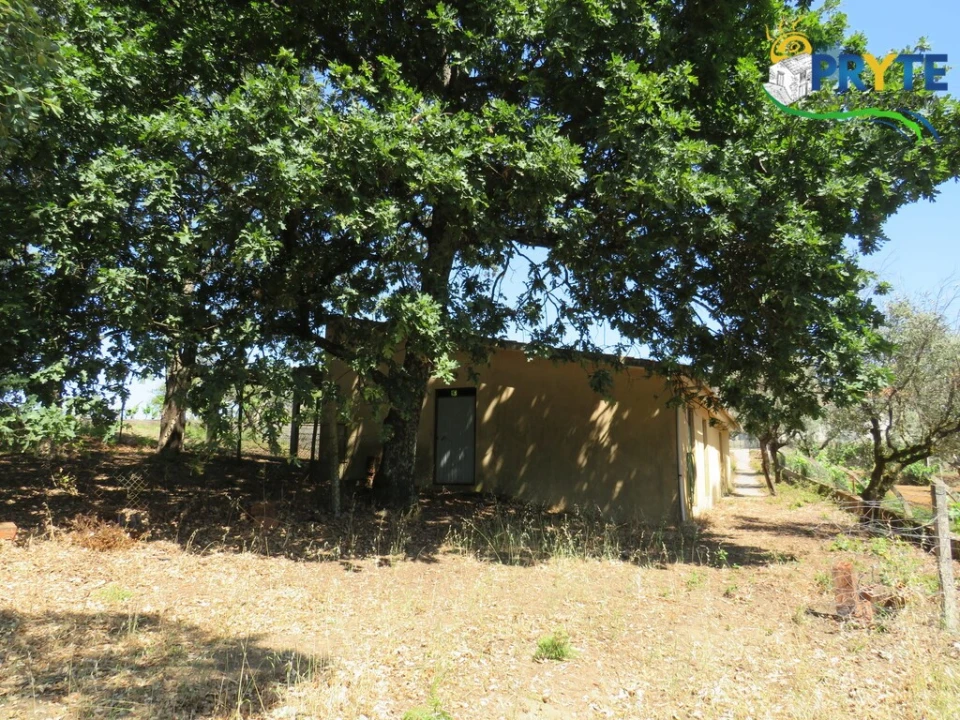 Quinta T5 para Venda em Sertã Foto 28