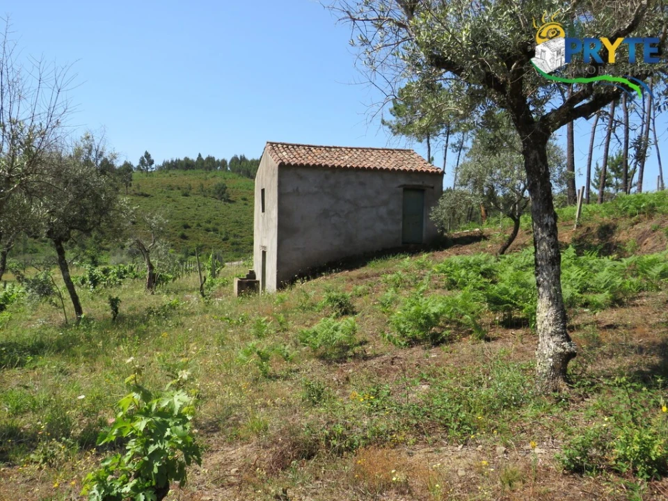 Quinta T5 para Venda em Sertã Foto 31