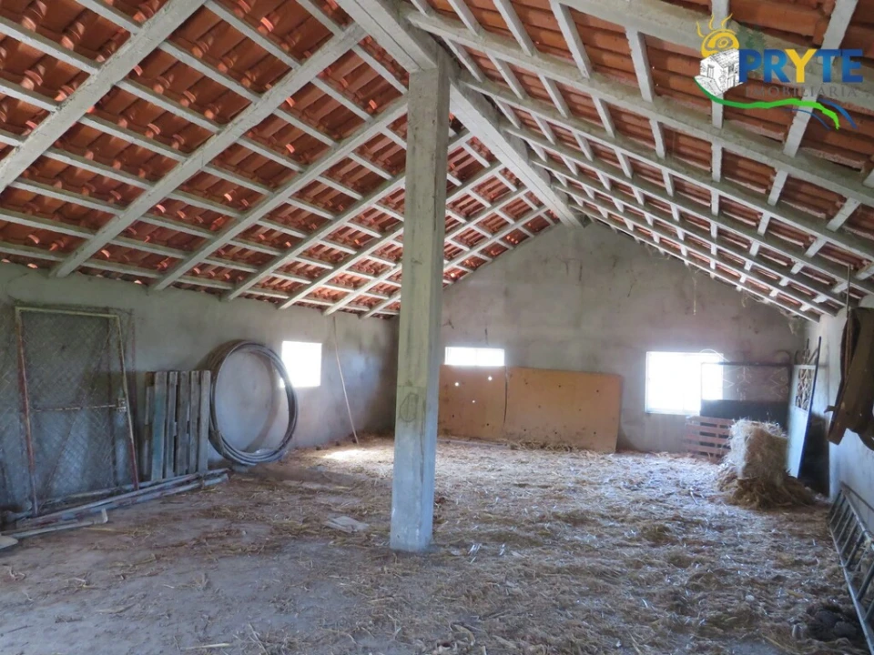 Quinta T5 para Venda em Sertã Foto 60