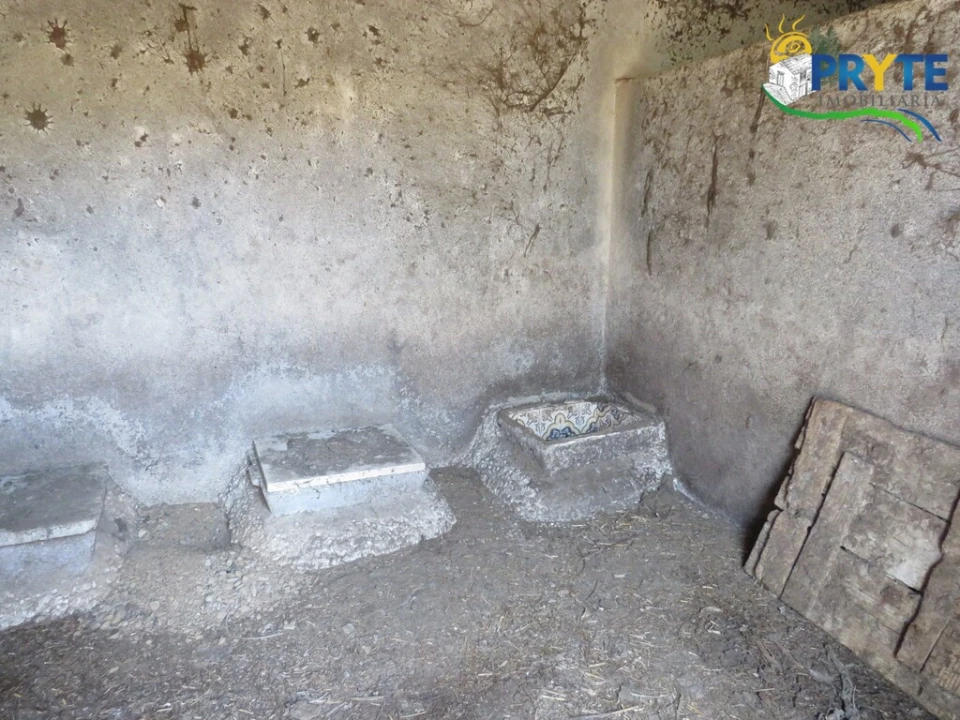 Quinta T5 para Venda em Sertã Foto 84