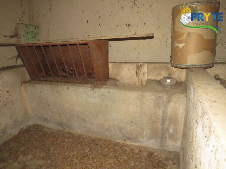 Quinta T5 para Venda em Sertã Foto 88