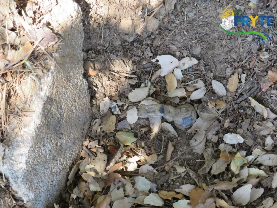 Quinta T5 para Venda em Sertã Foto 91