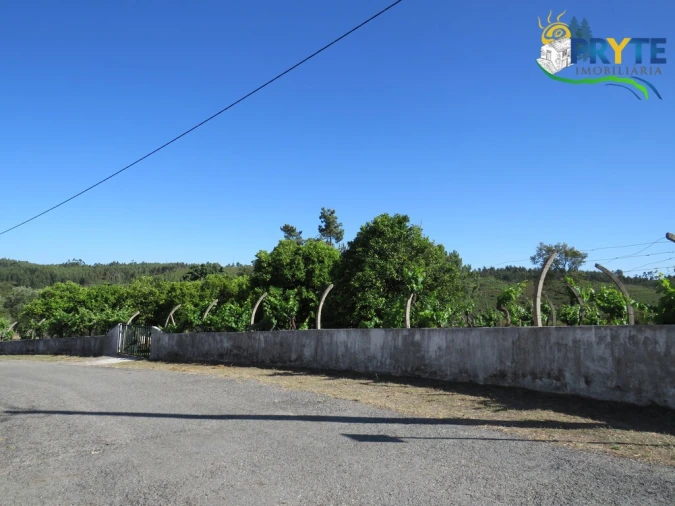 Quinta T5 para Venda em Sertã Foto 17