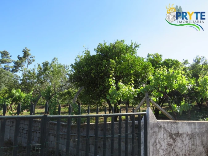 Quinta T5 para Venda em Sertã Foto 21