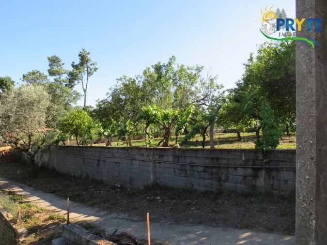 Quinta T5 para Venda em Sertã Foto 23