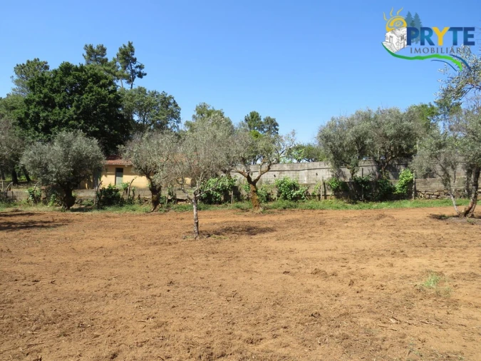 Quinta T5 para Venda em Sertã Foto 25