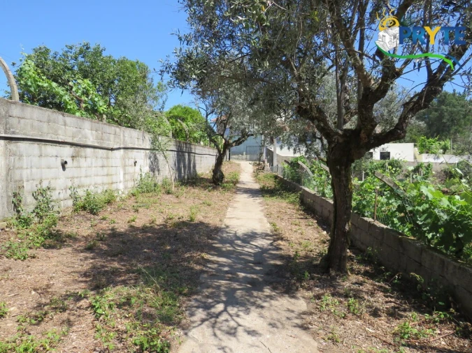 Quinta T5 para Venda em Sertã Foto 27