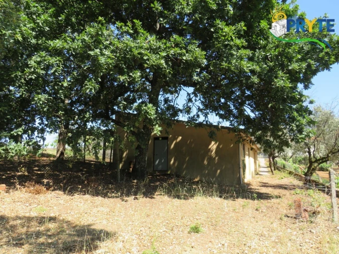 Quinta T5 para Venda em Sertã Foto 28