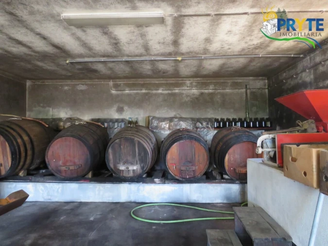 Quinta T5 para Venda em Sertã Foto 64