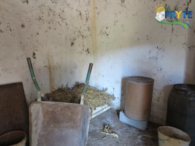 Quinta T5 para Venda em Sertã Foto 79