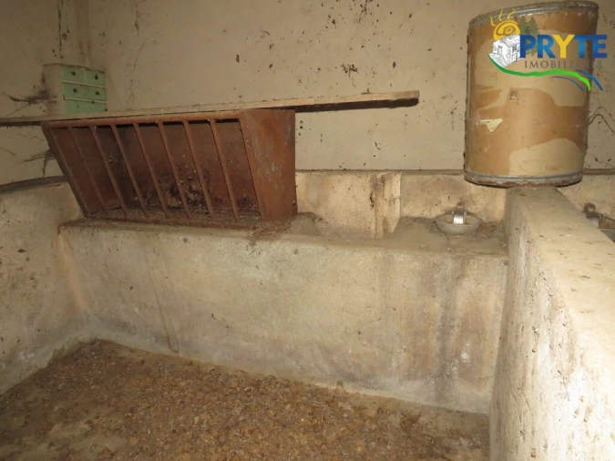 Quinta T5 para Venda em Sertã Foto 88