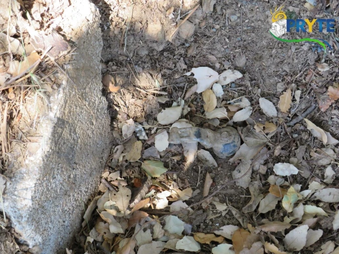 Quinta T5 para Venda em Sertã Foto 91