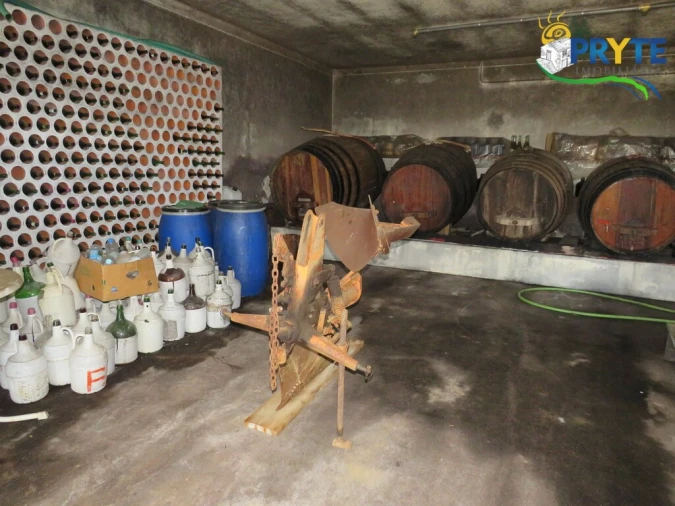 Quinta T5 para Venda em Sertã Foto 112