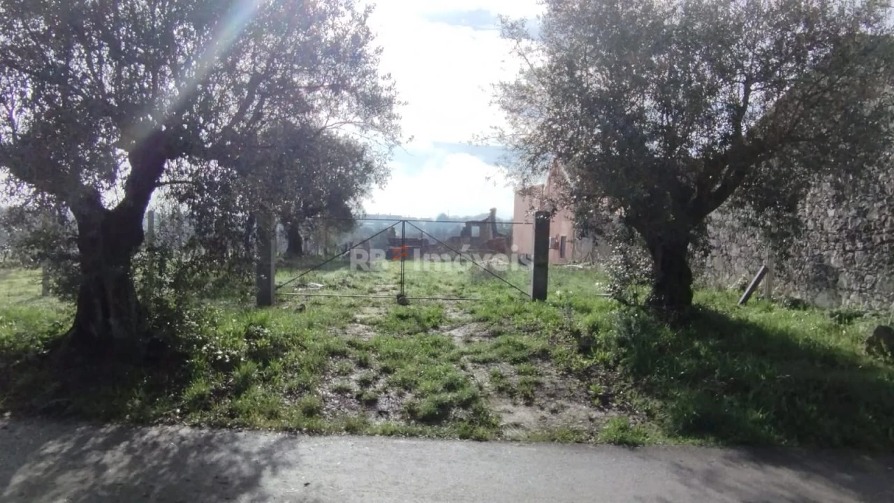 Terreno Misto para Venda em Paialvo Foto 8