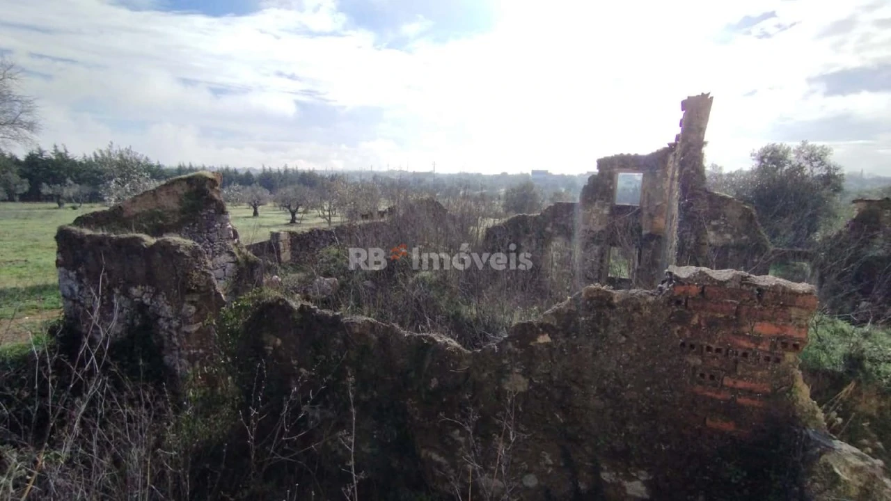 Terreno Misto para Venda em Paialvo Foto 5