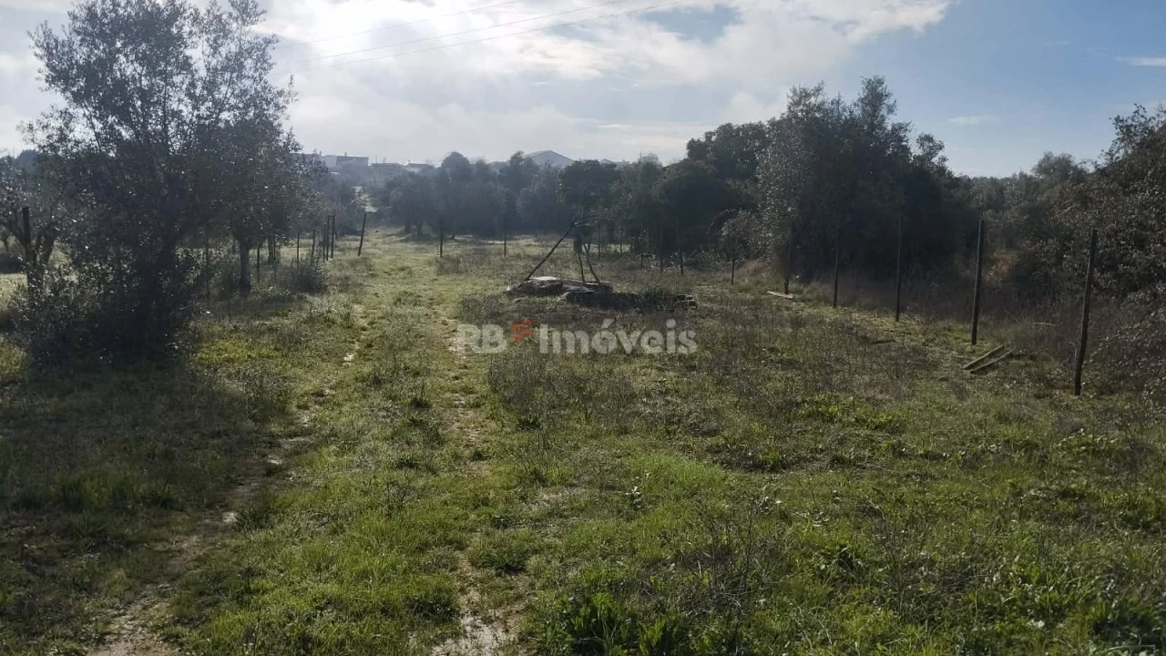 Terreno Misto para Venda em Paialvo Foto 7