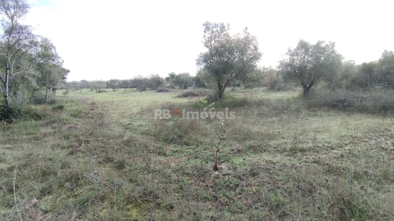 Terreno Misto para Venda em Paialvo Foto 10