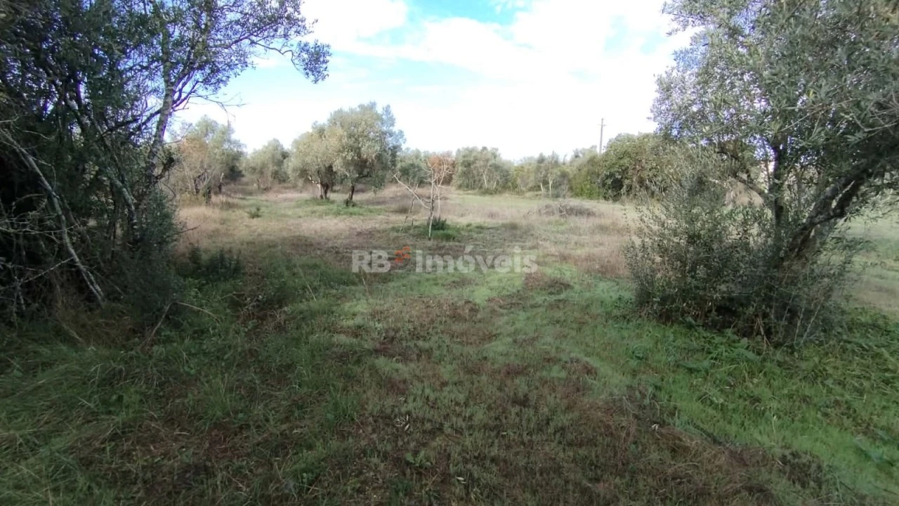 Terreno Misto para Venda em Paialvo Foto 12