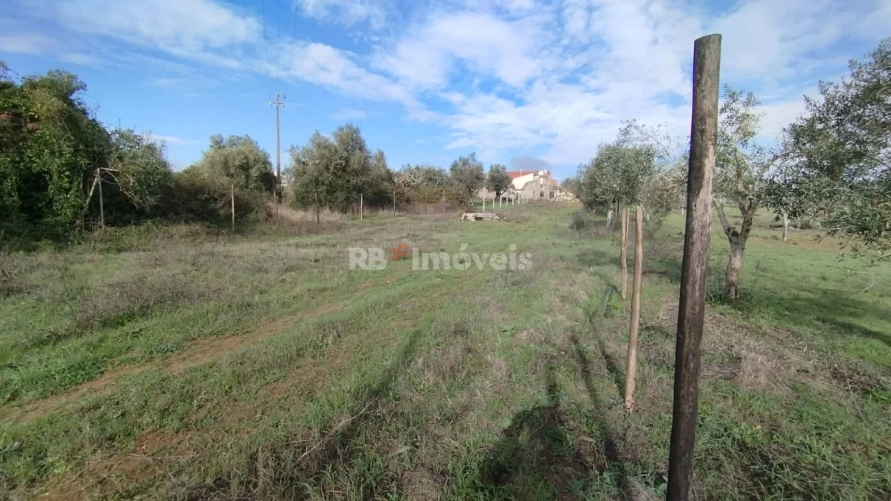 Terreno Misto para Venda em Paialvo Foto 13