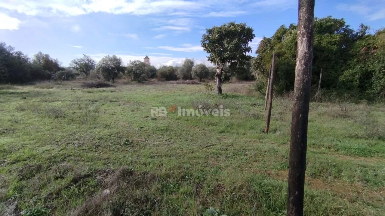 Terreno Misto para Venda em Paialvo Foto 14