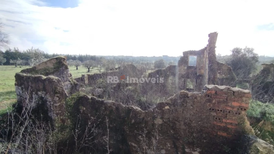 Terreno Misto para Venda em Paialvo Foto 1