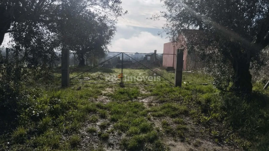 Terreno Misto para Venda em Paialvo Foto 2