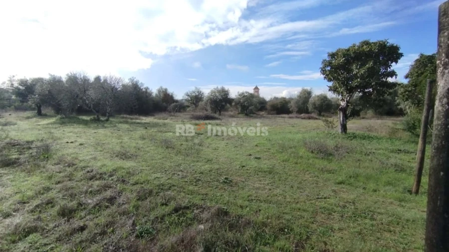 Terreno Misto para Venda em Paialvo Foto 4