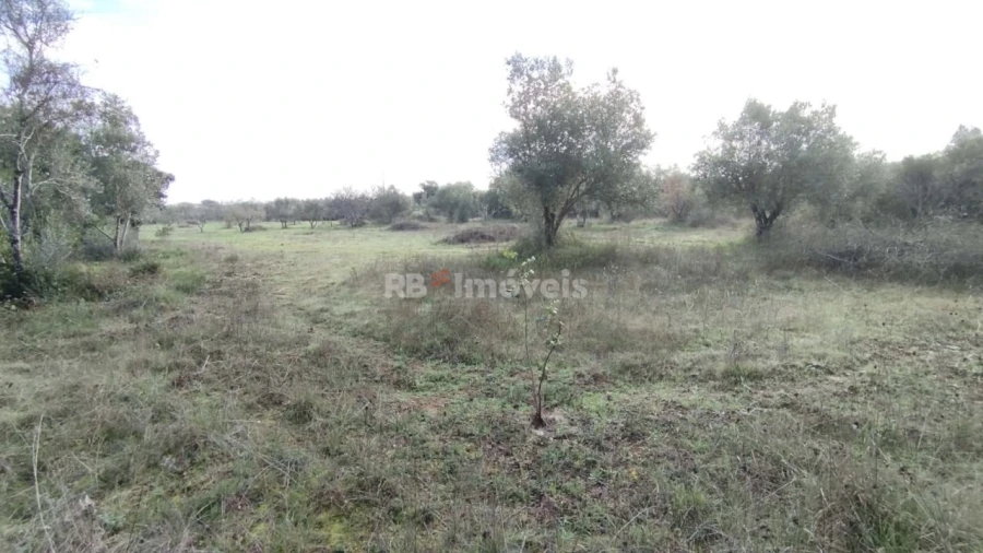 Terreno Misto para Venda em Paialvo Foto 10