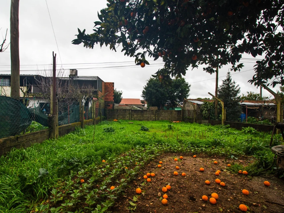 Moradia T3 para Venda em São João do Campo Foto 1