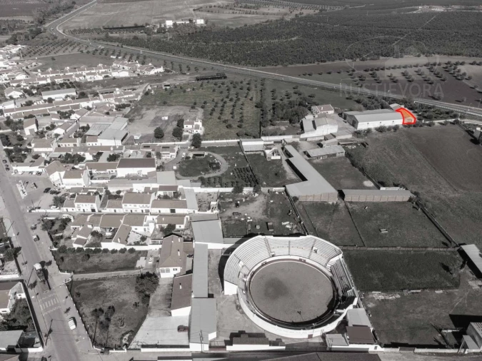Armazém para Arrendamento em São Manços e São Vicente do Pigeiro Foto 6