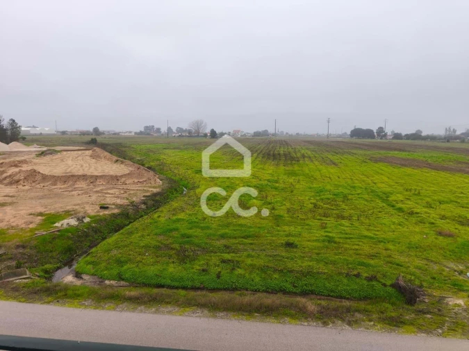 Prédio para Venda em Salvaterra de Magos e Foros de Salvaterra Foto 19