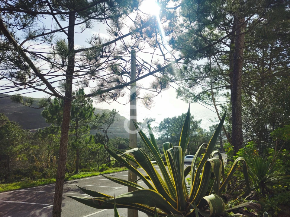 Apartamento T1 para Venda em Agualva e Mira-Sintra Foto 4