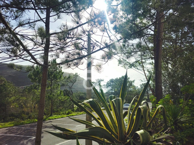 Apartamento T1 para Venda em Agualva e Mira-Sintra Foto 4