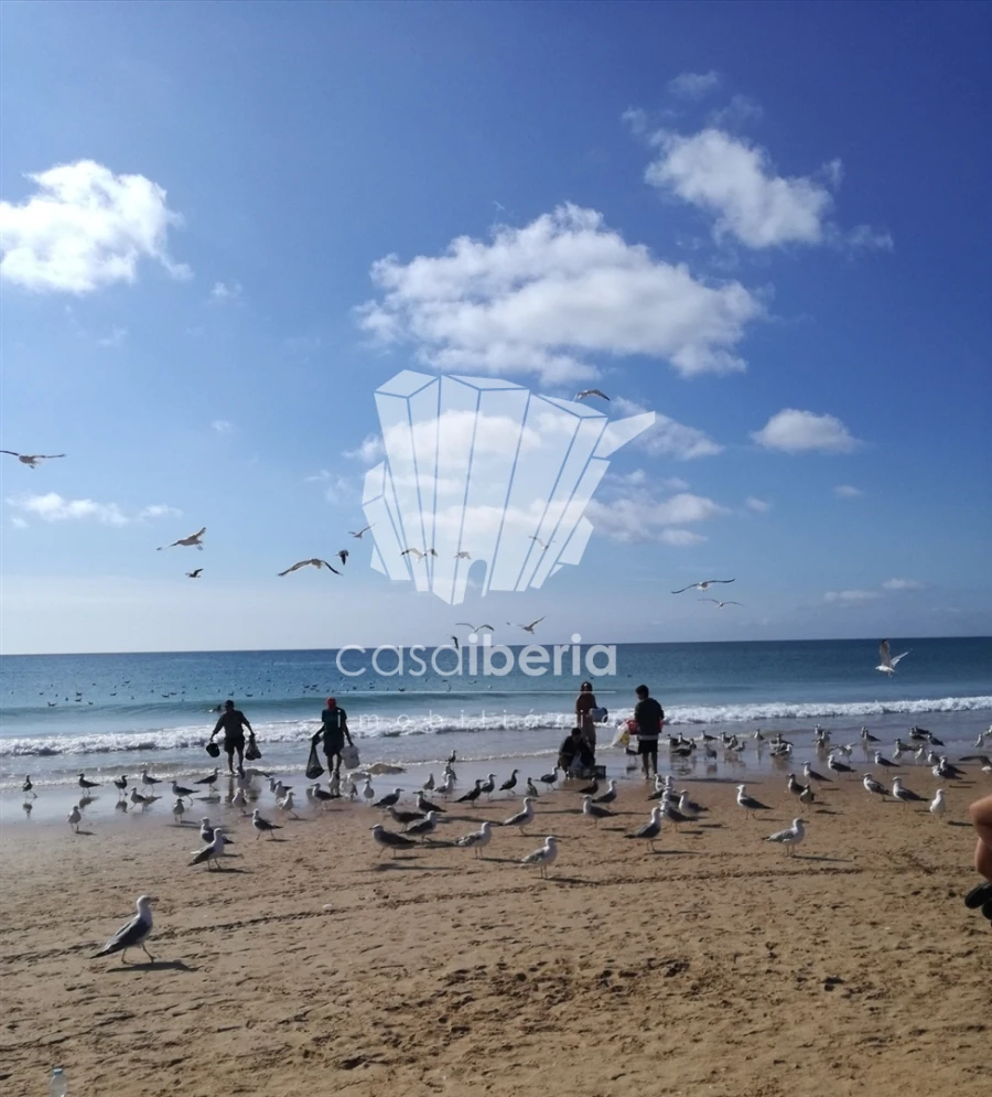 Apartamento T1 para Venda em Odiaxere Foto 18