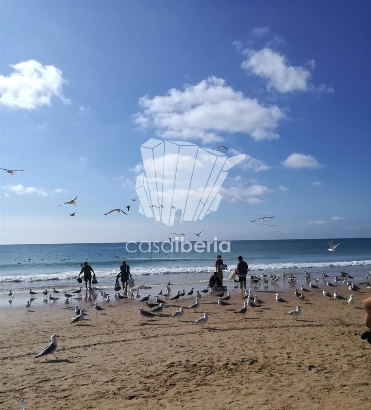 Apartamento T2 para Venda em Odiaxere Foto 18