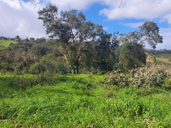Terreno para Venda em Leiria, Pousos, Barreira e Cortes Foto 6