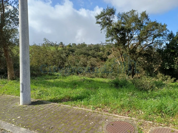 Terreno para Venda em Leiria, Pousos, Barreira e Cortes Foto 9