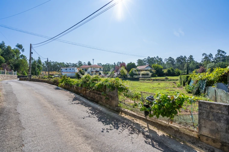 Terreno para Venda em Escariz (São Mamede) e Escariz (São Martinho) Foto 8