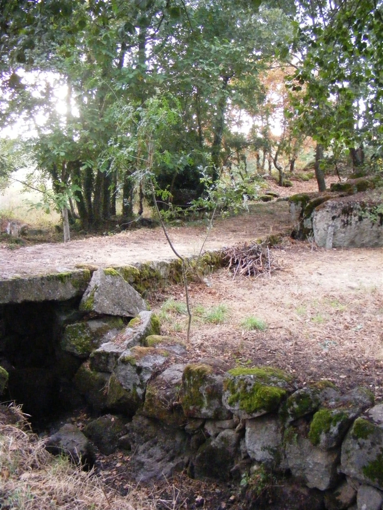 Negócio para Venda em Rio Torto e Lagarinhos Foto 19