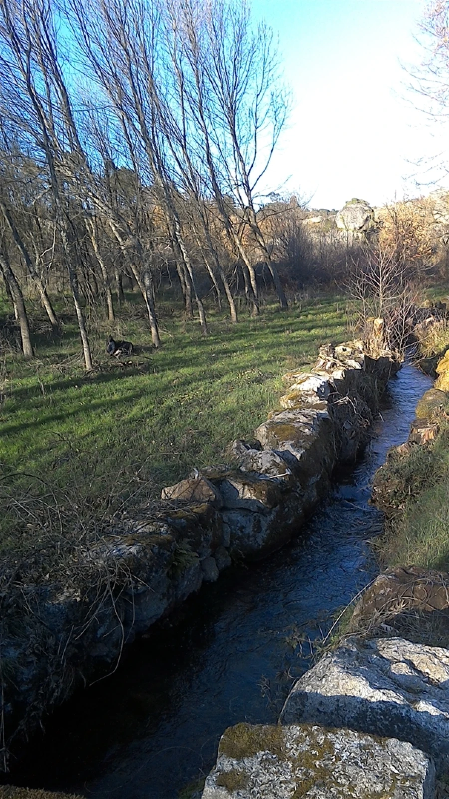 Negócio para Venda em Rio Torto e Lagarinhos Foto 18