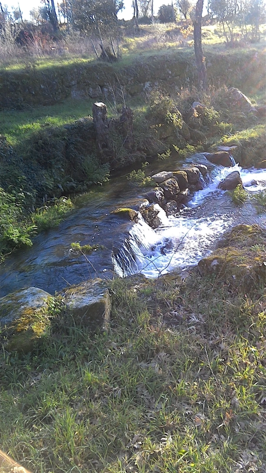 Negócio para Venda em Rio Torto e Lagarinhos Foto 20