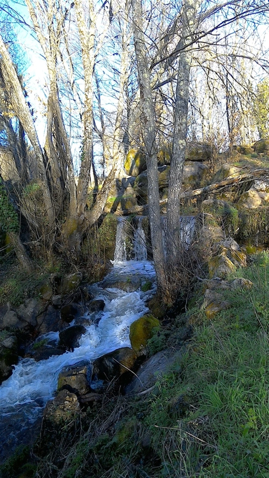 Negócio para Venda em Rio Torto e Lagarinhos Foto 17