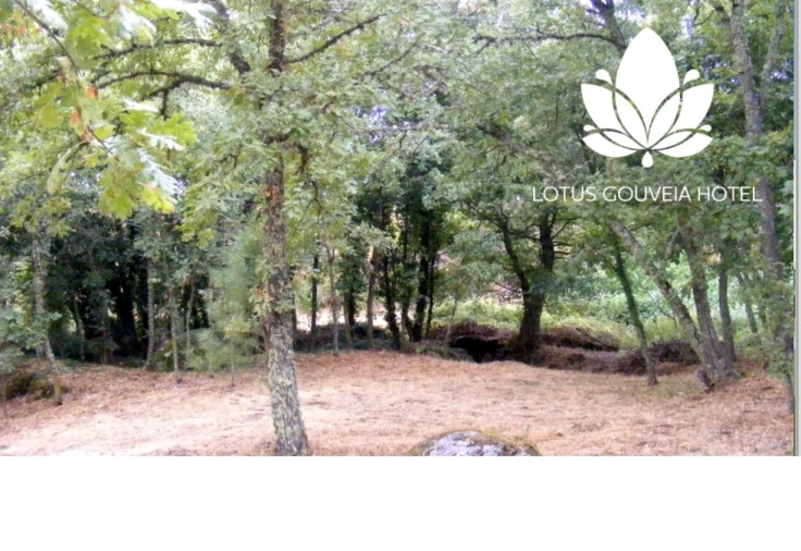 Negócio para Venda em Rio Torto e Lagarinhos Foto 2