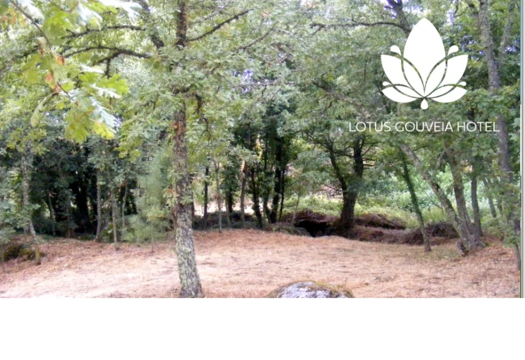 Negócio para Venda em Rio Torto e Lagarinhos Foto 2