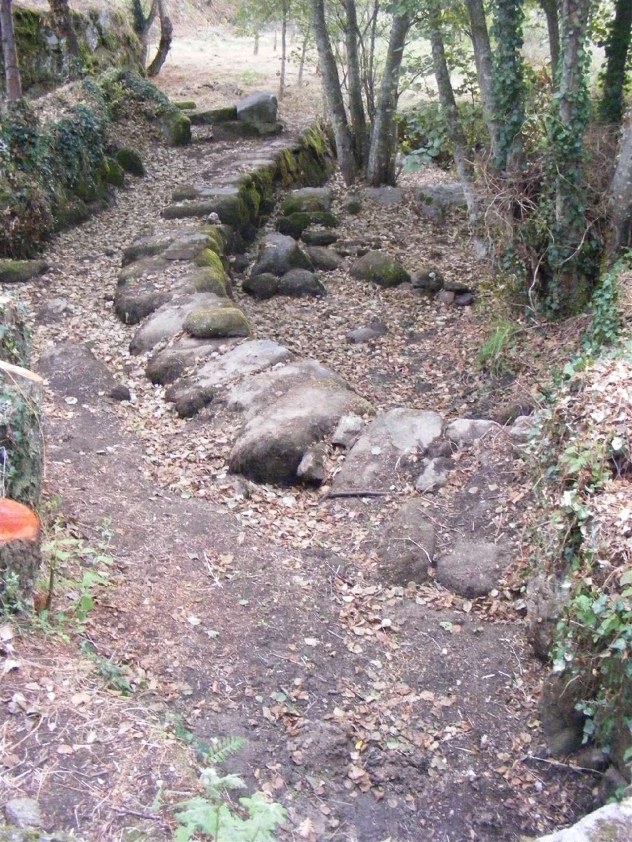 Negócio para Venda em Rio Torto e Lagarinhos Foto 22