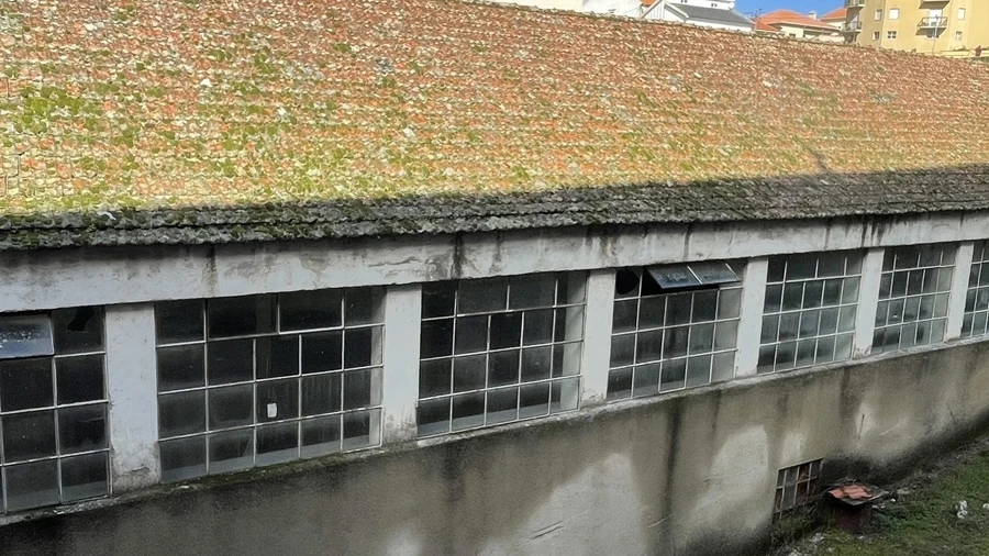 Armazém para Venda em Gouveia (São Pedro e São Julião)